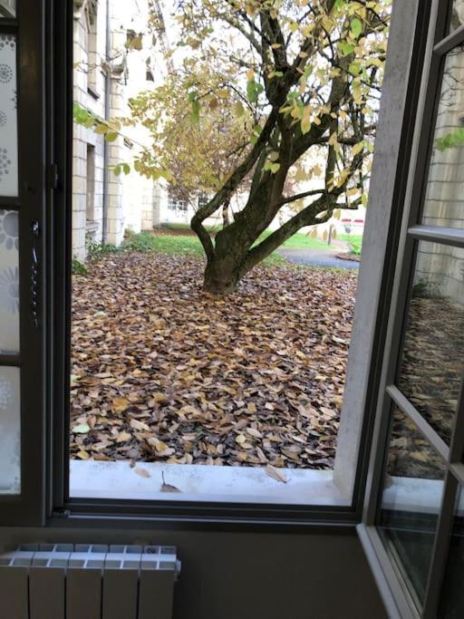 Superbe Appartement Saumur Ngoại thất bức ảnh